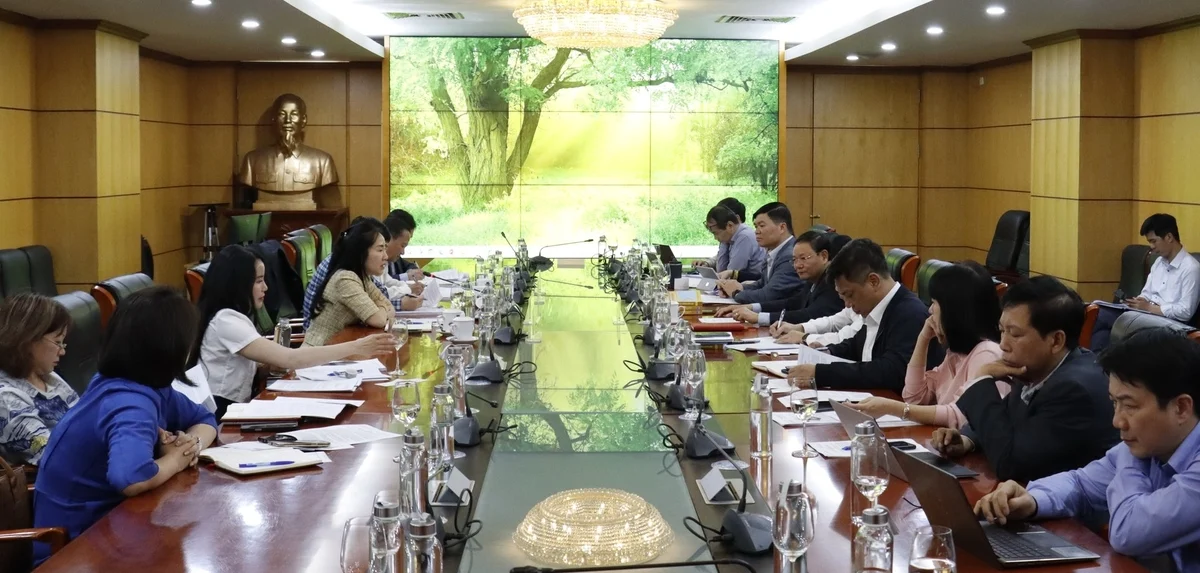 Đảm bảo nhu cầu sử dụng đất để phát triển bền vững
